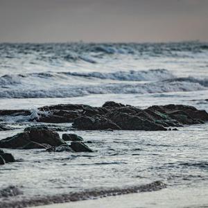 阿格莱雅产奶图片真实
